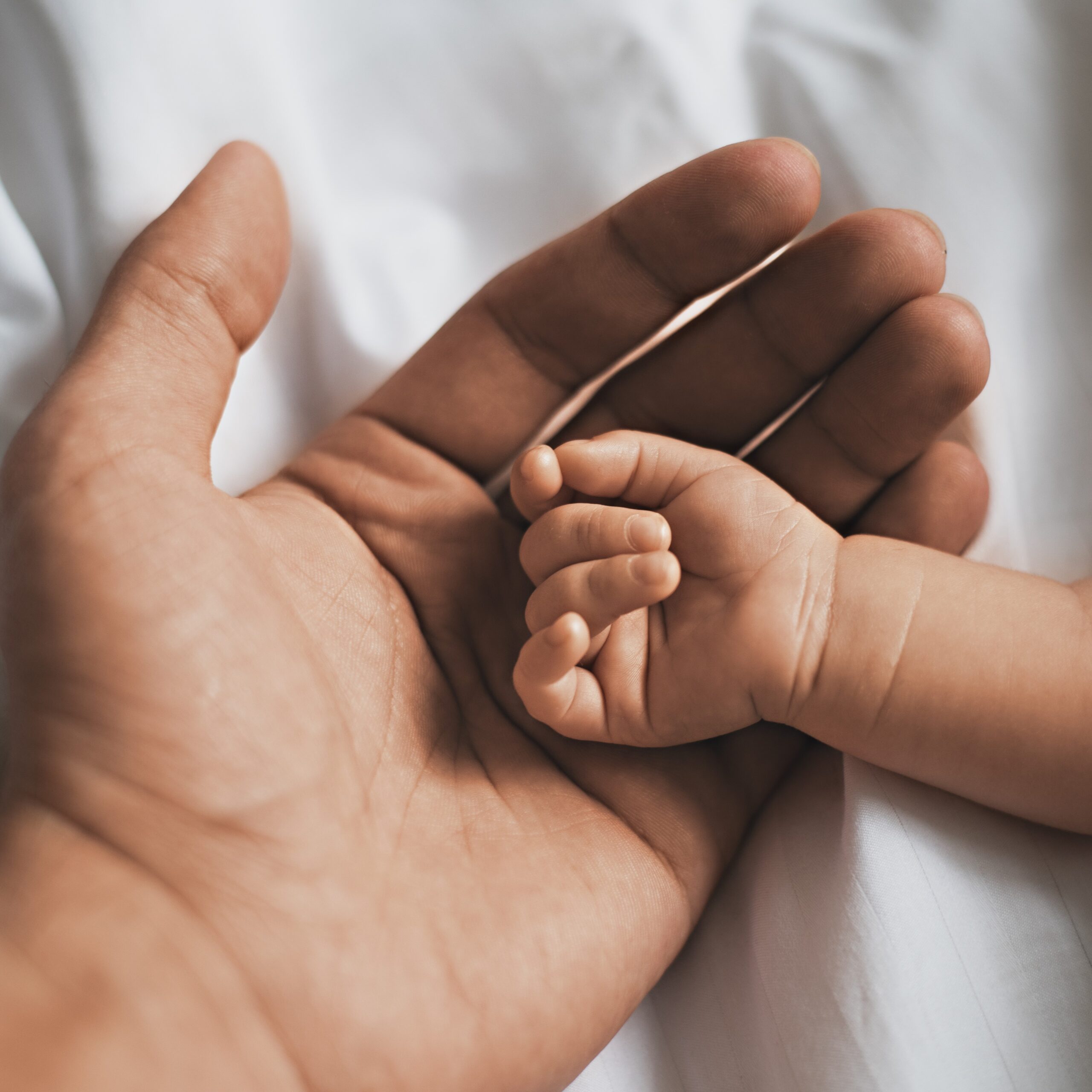 Paternity Leave